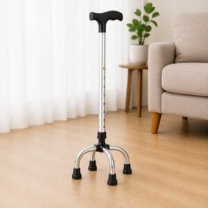 Walking Stick 4-Legs